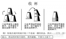 速叠杯视频教程,轻松掌握速叠杯技巧，挑战世界纪录！