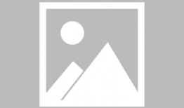 杀鱼视频,揭秘残忍捕捞过程